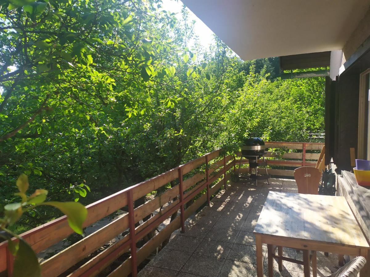 Chata Na Poskle U Lesa S Vyhledem Hutisko Esterno foto